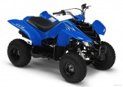 Yamaha YFM50 Yamaha YFM50